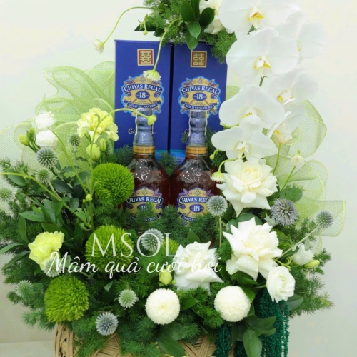 MÂM  QẢU MSOL M14